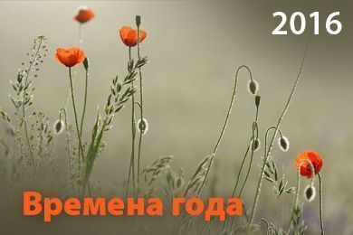 Времена года 2016